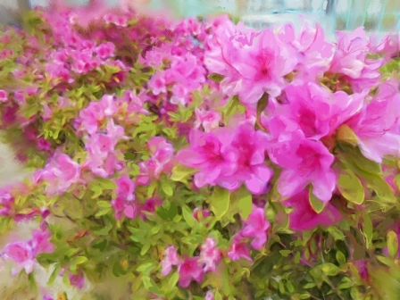 ��i25 ���R